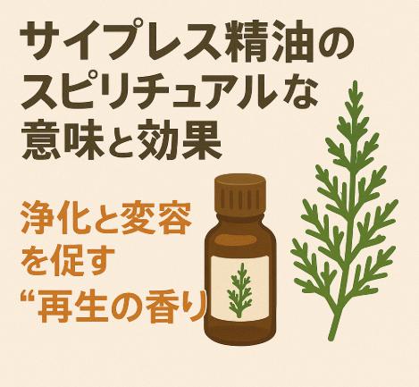 サイプレス精油のスピリチュアルな意味と効果｜浄化と変容を促す“再生の香り”