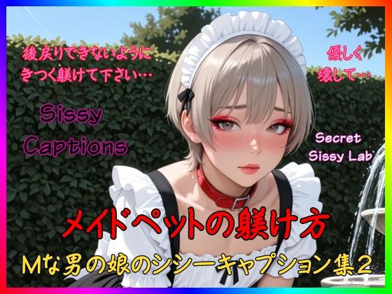 【辱め】Sissy Captions Mな男の娘のシシーキャプション集2 メイドペットの躾け方 後戻りできないようにきつく躾けて下さい… 優しく壊して…｜-