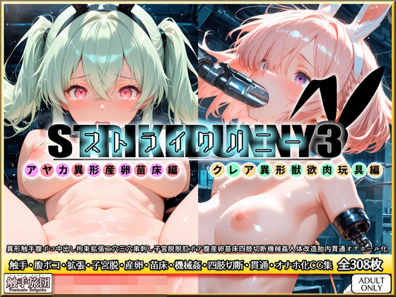 【拘束】ストライクバニー3｜-