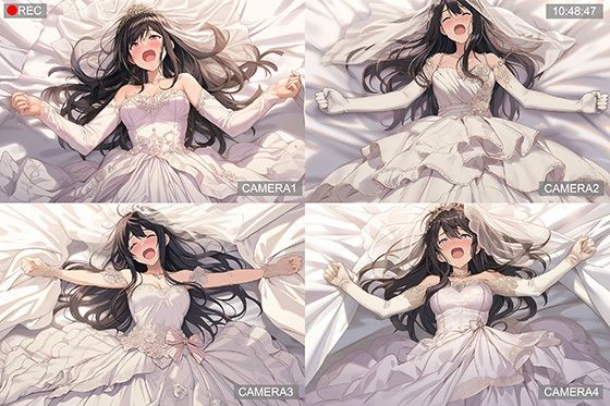 【イラスト・CG集】【ドレス美少女48】快楽ドレスの館｜-