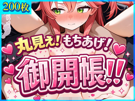 【イラスト・CG集】丸見え！もちあげ！御開帳！！｜-