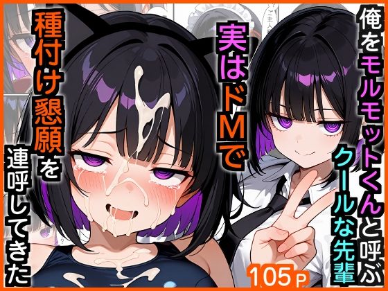 【制服】俺をモルモットくんと呼ぶクールな先輩 実はドMで種付け懇願を連呼してきた｜-政府の命令で子作りシリーズ