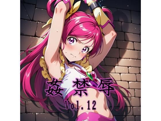 【拘束】姦禁辱 vol.12｜-