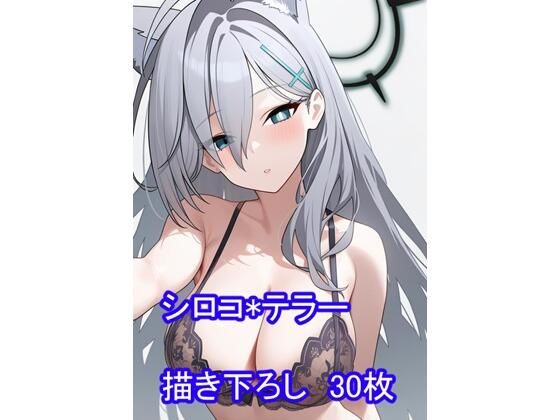 【イラスト・CG集】○ルー○ーカイブ ○ロコ＊○ラー｜-